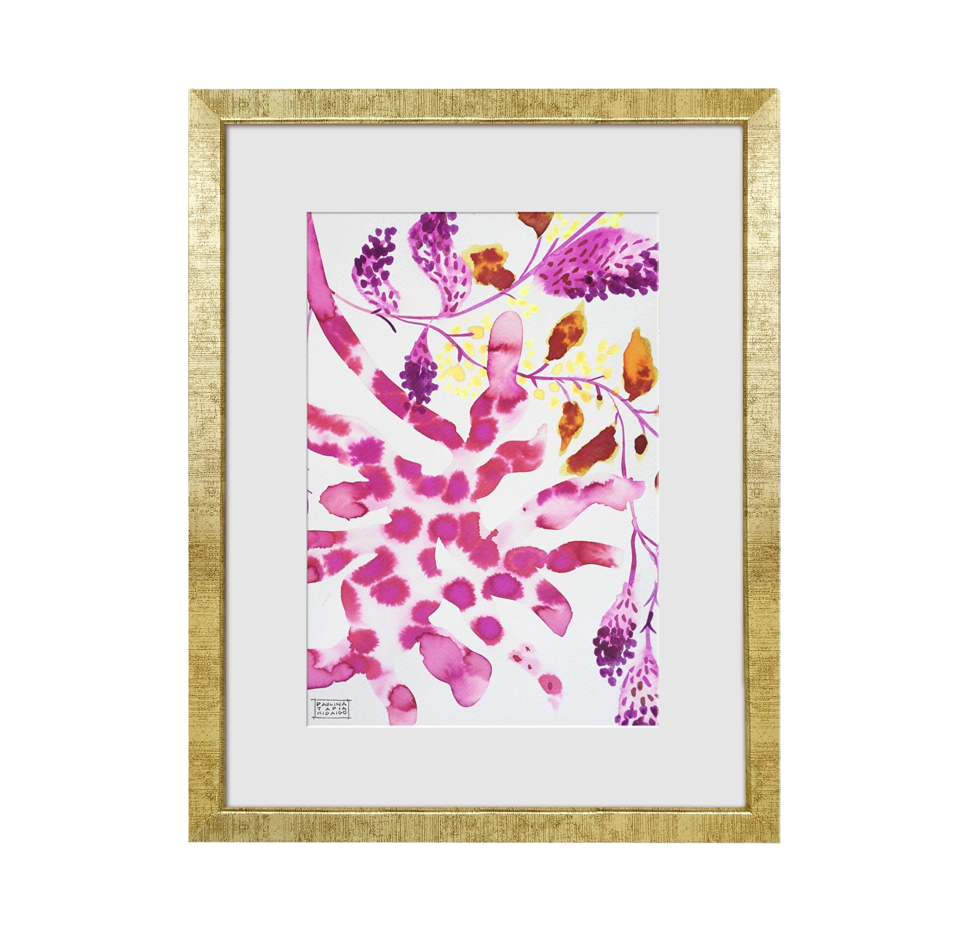 Acuarela ACU00024