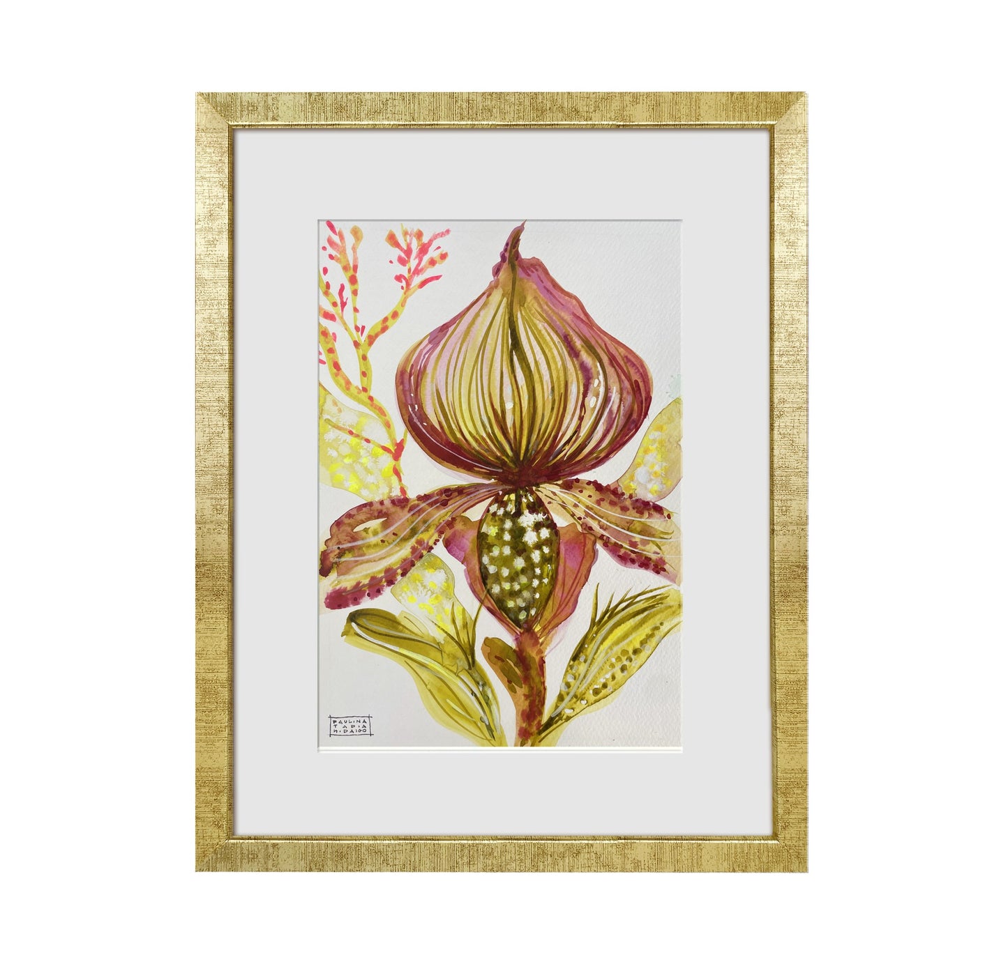 Acuarela ACU00035