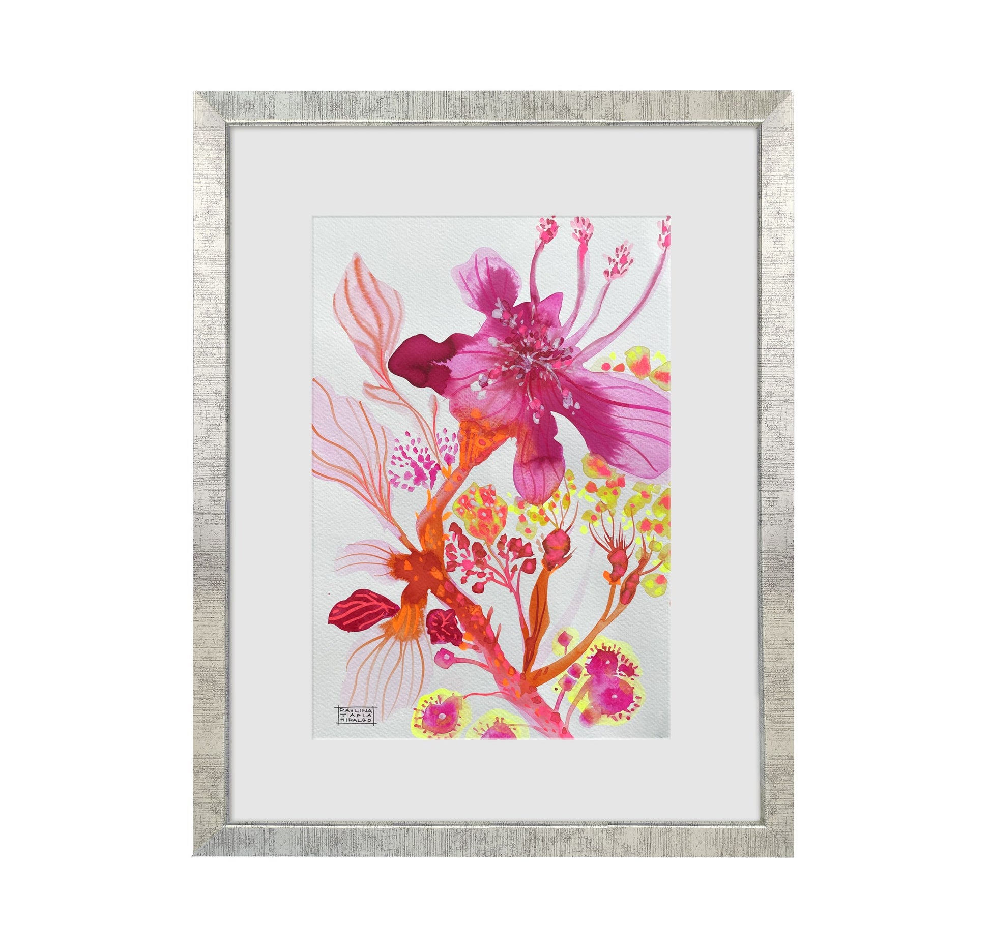 Acuarela ACU00052